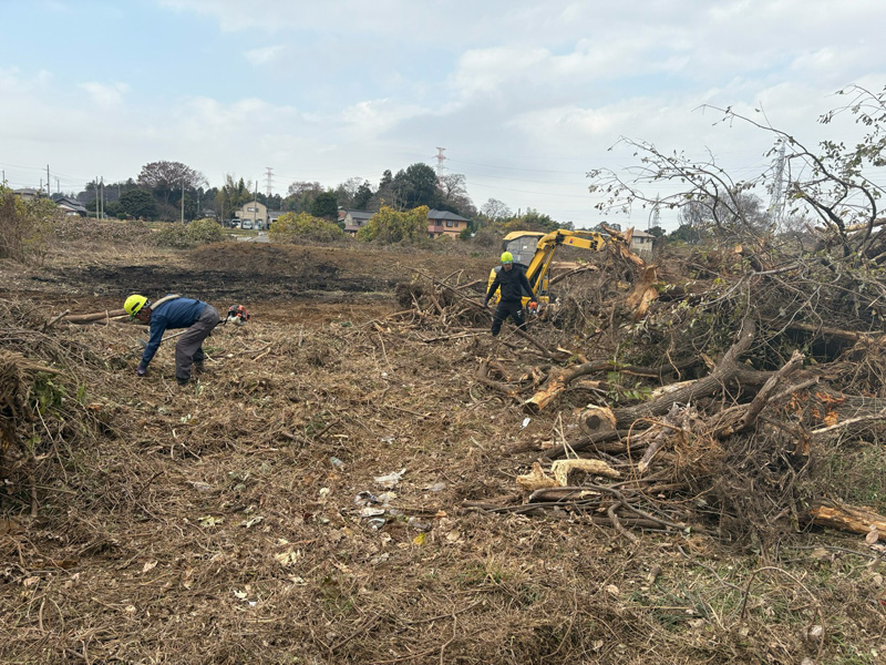 埼玉県北足立郡伊奈町 伐採伐根工事 工事中