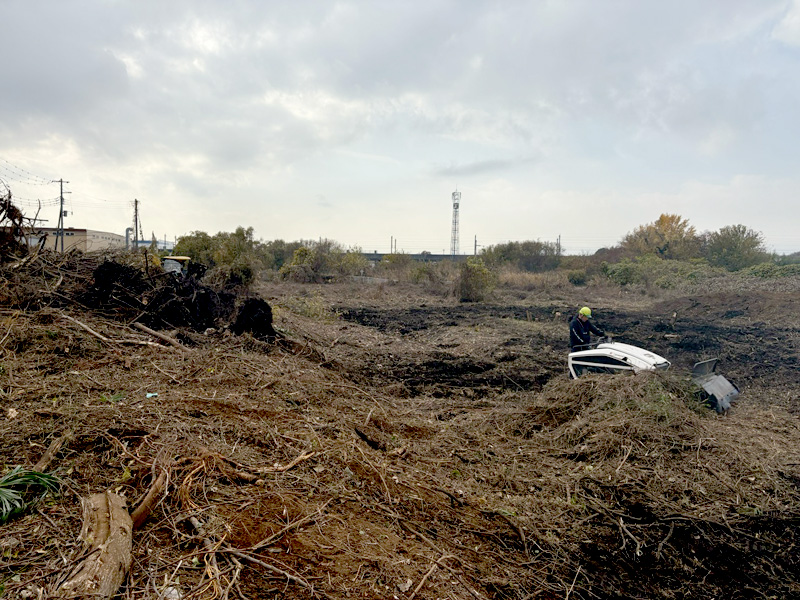 埼玉県北足立郡伊奈町 伐採伐根工事 工事中