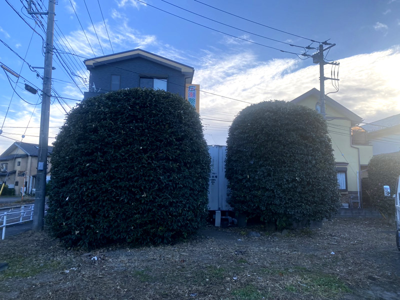 埼玉県狭山市ショッピングモール 剪定工事 着工前