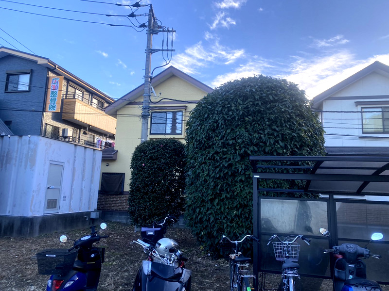 埼玉県狭山市ショッピングモール 剪定工事 着工前