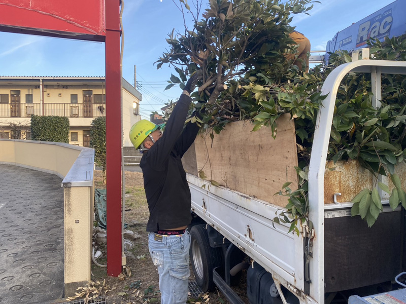 埼玉県狭山市ショッピングモール 剪定工事 作業中