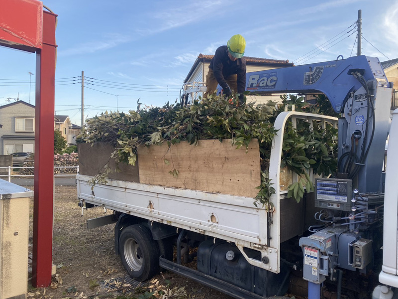 埼玉県狭山市ショッピングモール 剪定工事 作業中