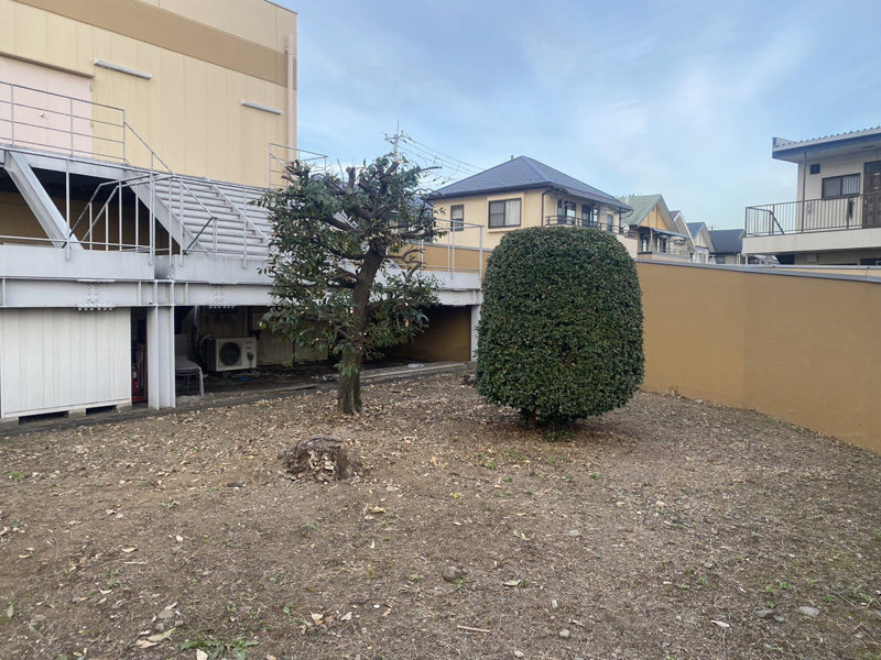 埼玉県狭山市ショッピングモール 剪定工事 完了