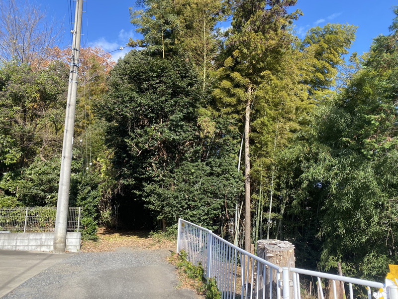 埼玉県東松山市個人宅 伐採工事 完了