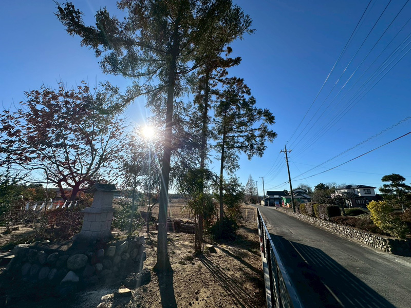 個人宅 伐採剪定工事 完了