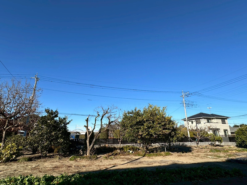 個人宅 伐採剪定工事 完了