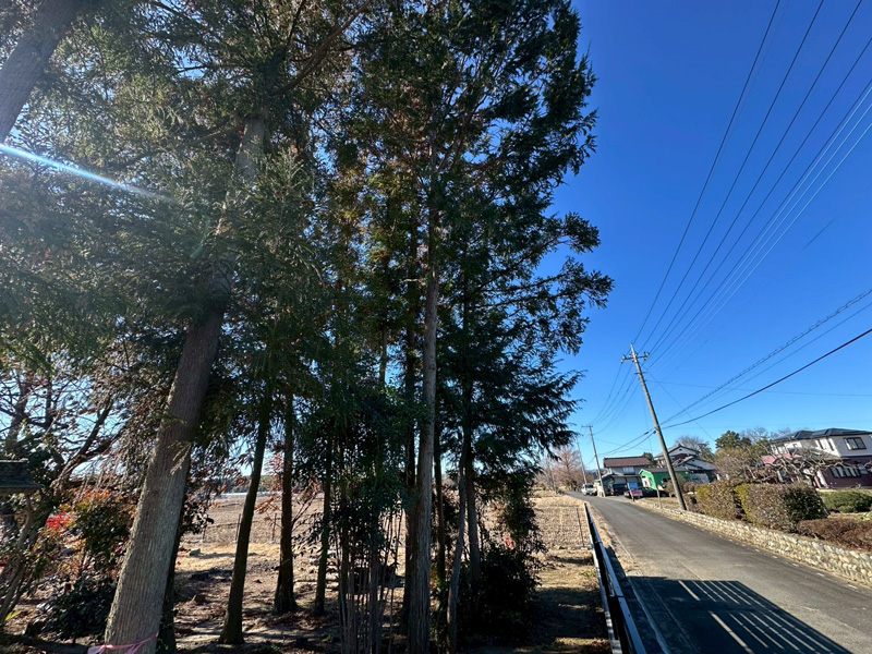 個人宅 伐採剪定工事 着工前