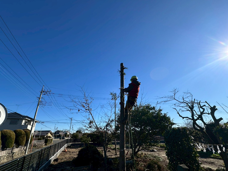 個人宅 伐採剪定工事 作業中