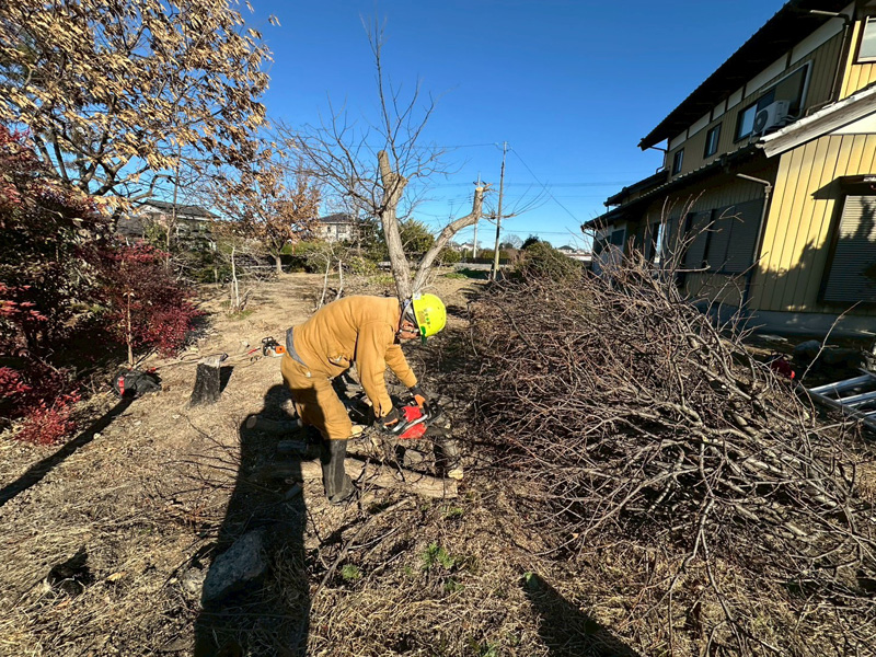 個人宅 伐採剪定工事 作業中