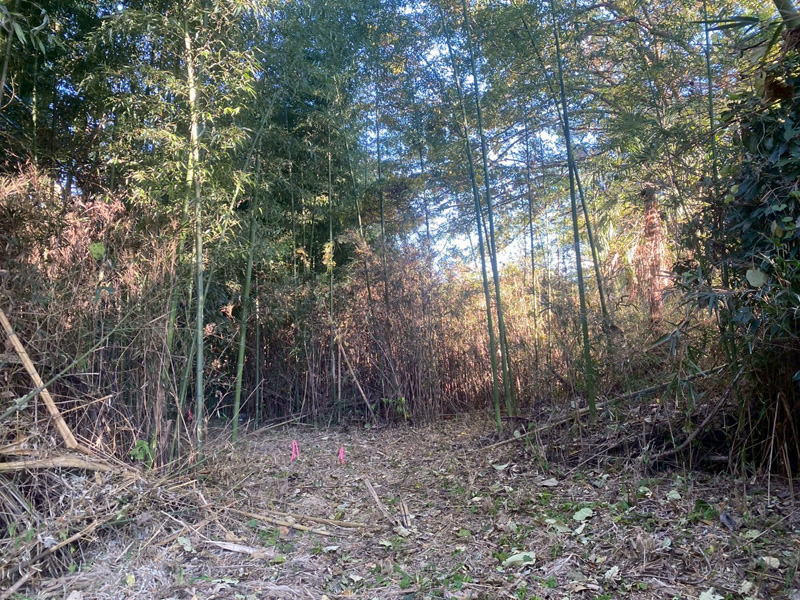 埼玉県大里郡寄居町 伐採伐根工事 作業前