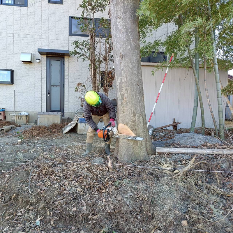 高木の伐採工事 作業中