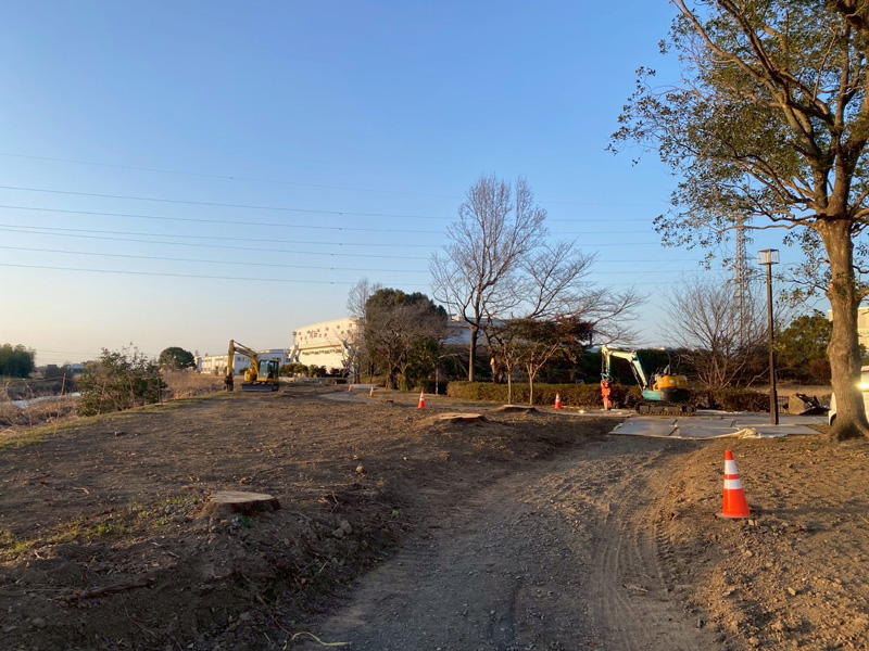 埼玉県加須市 伐採工事 完了