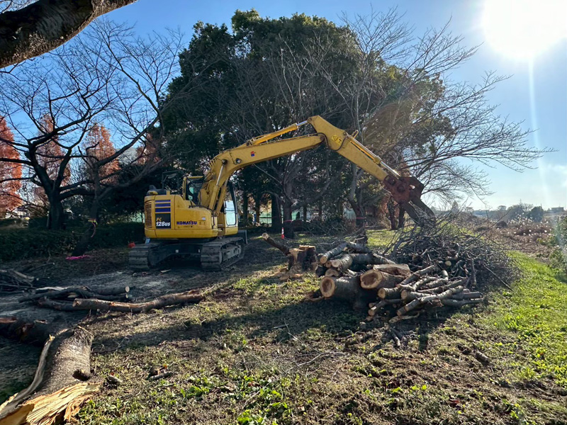 埼玉県加須市 伐採工事 作業中