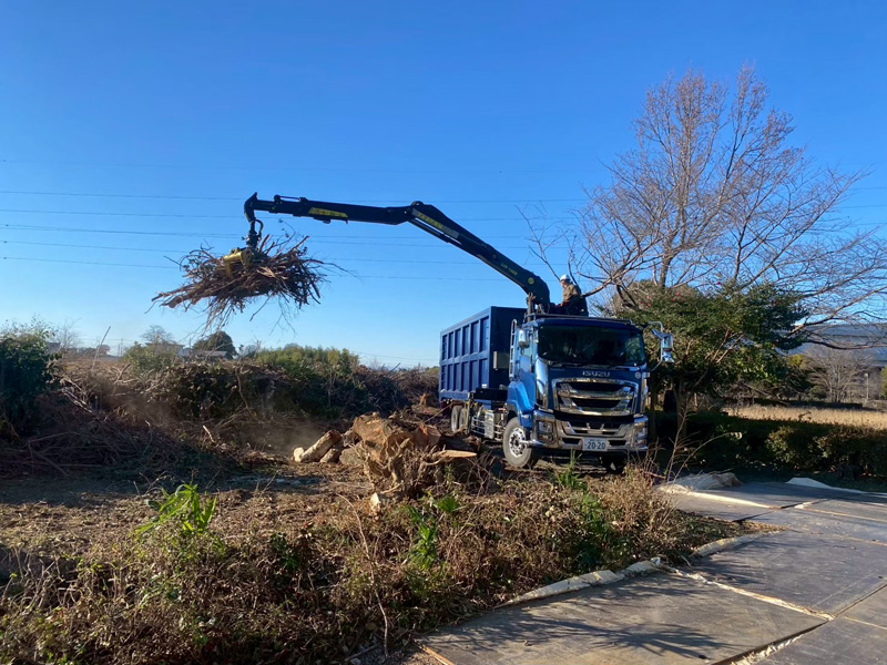 埼玉県加須市 伐採工事 作業中