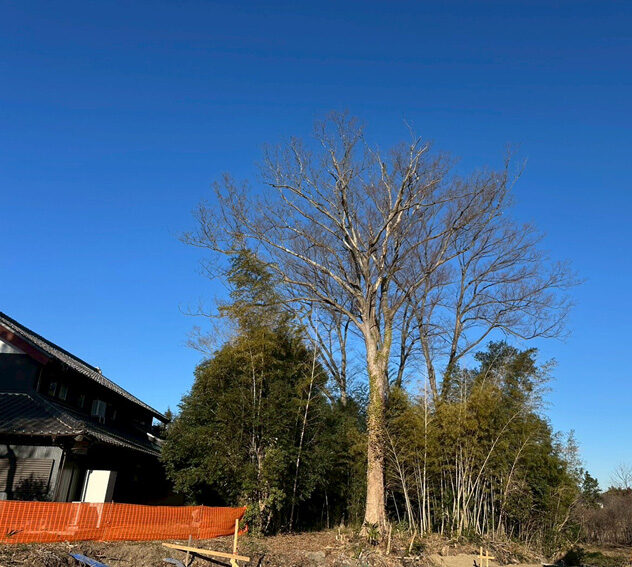 埼玉県比企郡吉見町 伐採除根工事 着工前