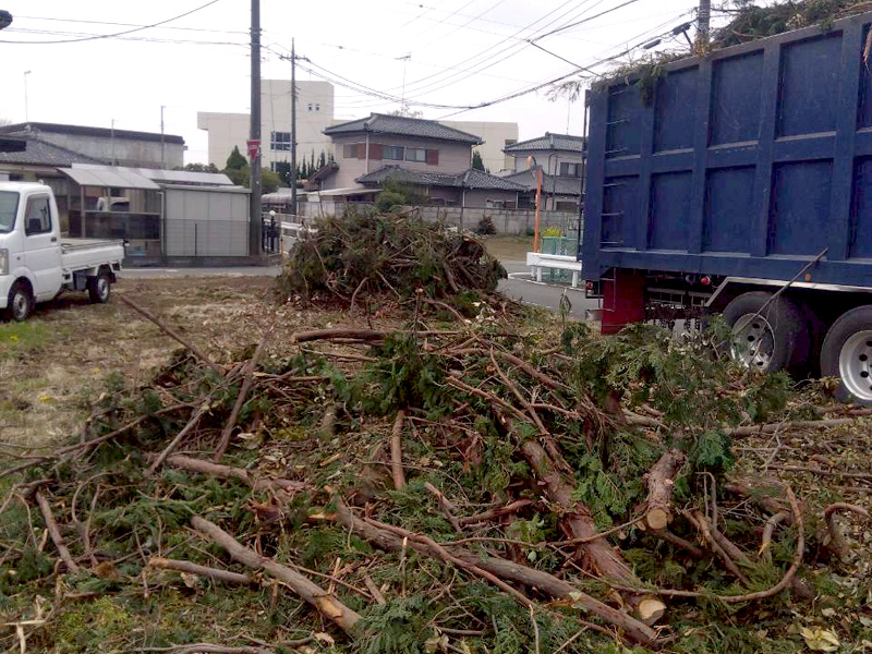 埼玉県行田ガーデン 真名板薬師堂 檜伐採搬出 作業中