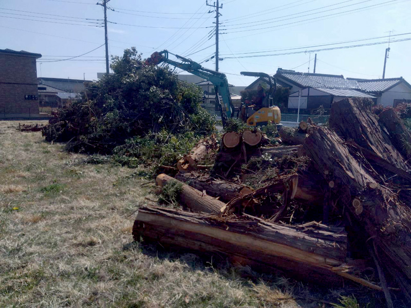 埼玉県行田ガーデン 真名板薬師堂 檜伐採搬出 作業中
