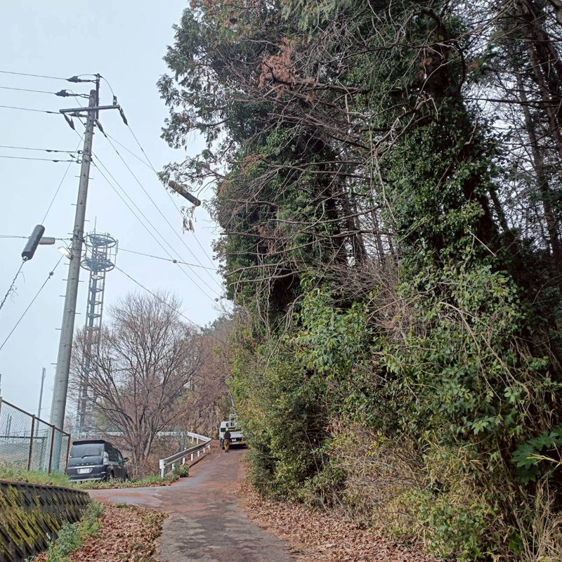 埼玉県比企郡小川町 清水様山林道路際 伐採 完了