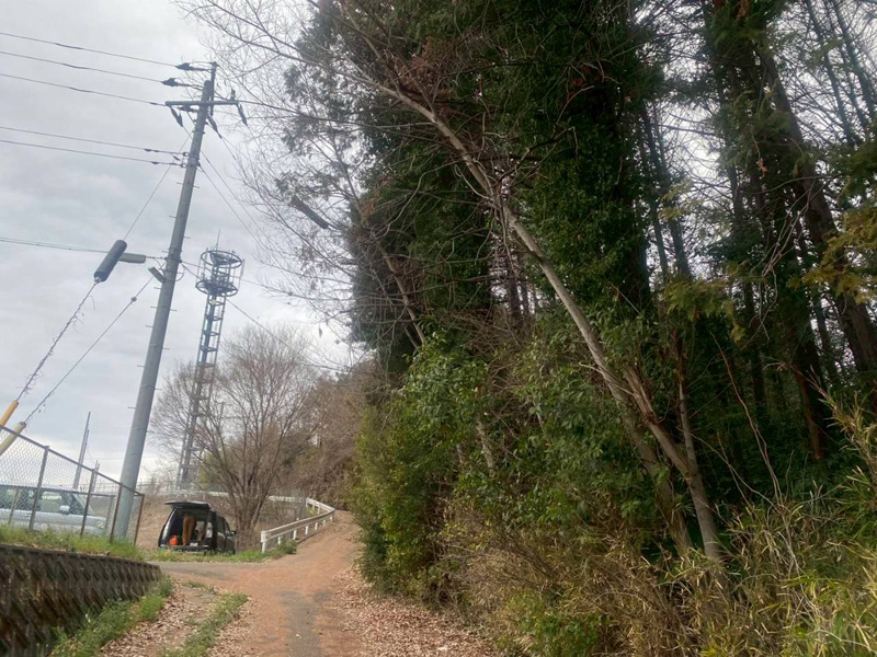 埼玉県比企郡小川町 清水様山林道路際 伐採 着工前