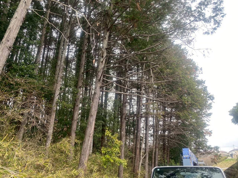 埼玉県比企郡小川町 清水様山林道路際 伐採 着工前