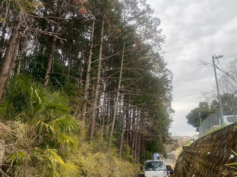 埼玉県比企郡小川町 清水様山林道路際 伐採 着工前