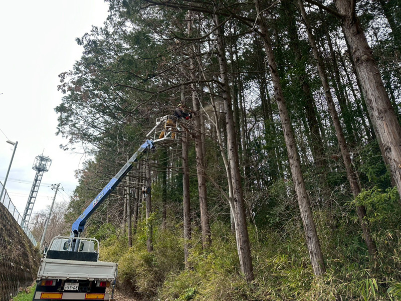 埼玉県比企郡小川町 清水様山林道路際 伐採 作業中