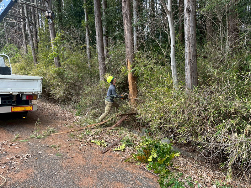 埼玉県比企郡小川町 清水様山林道路際 伐採 作業中