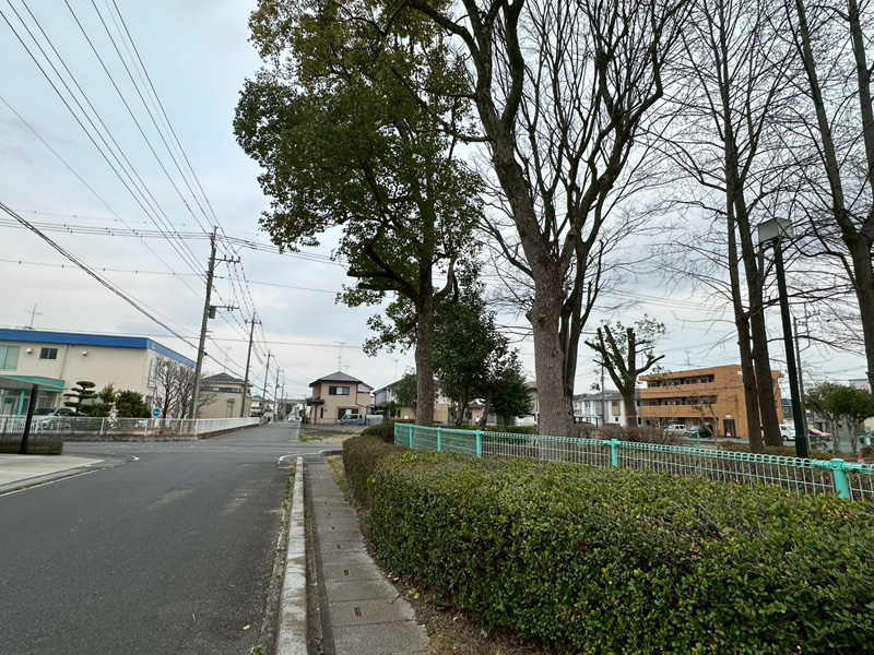 埼玉県行田市 公園内 剪定工事 完了