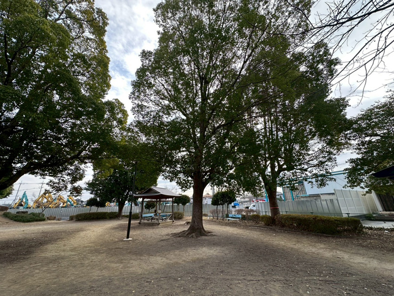 埼玉県行田市 公園内 剪定工事 作業前