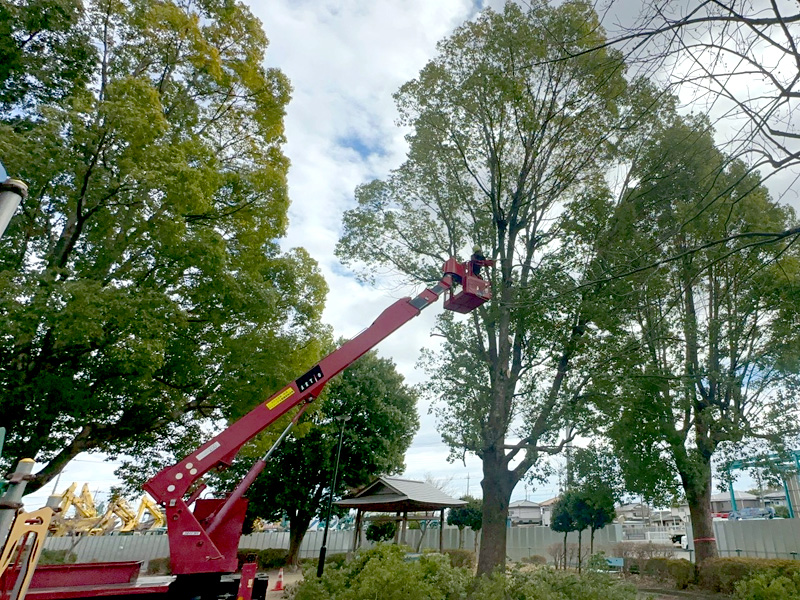 埼玉県行田市 公園内 剪定工事 作業中