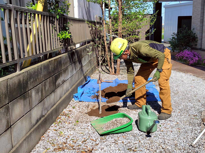 埼玉県鴻巣市個人宅 伐採工事 作業中