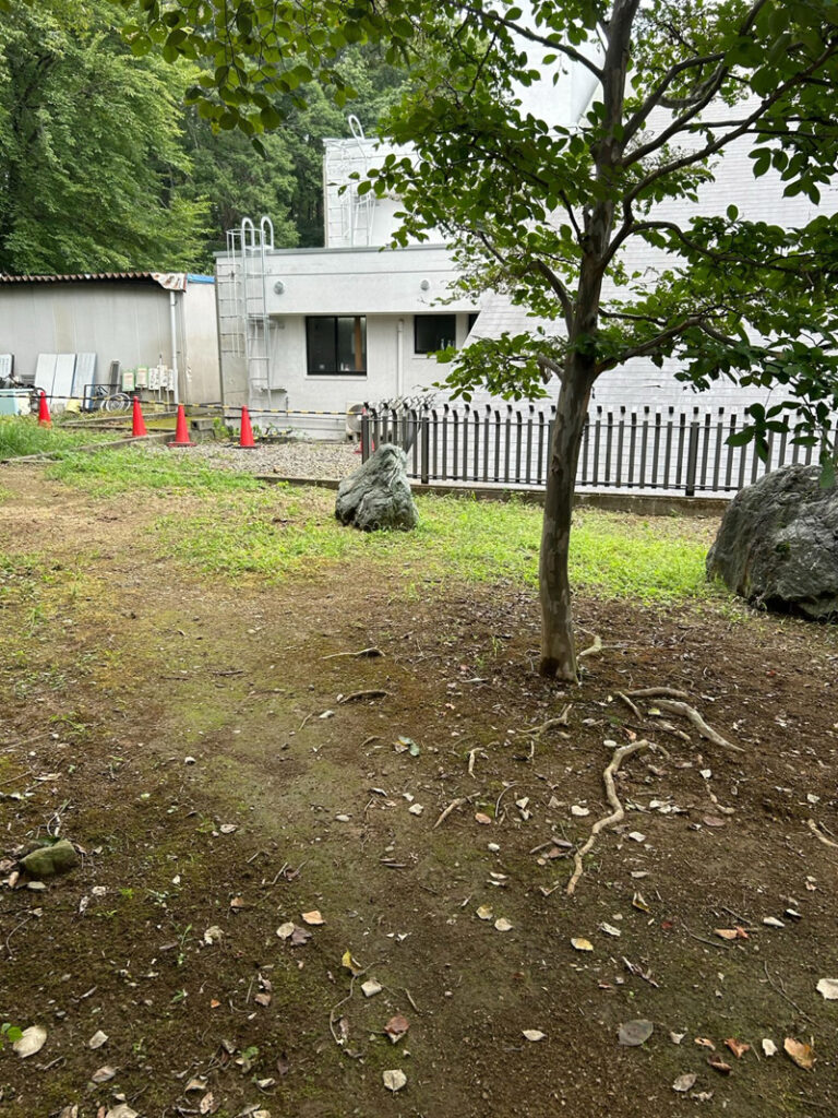 埼玉県児玉郡美里町 こだま聖地 伐採工事