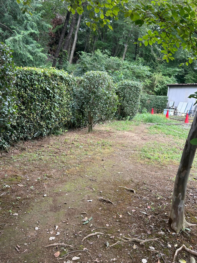 埼玉県児玉郡美里町 こだま聖地 伐採工事
