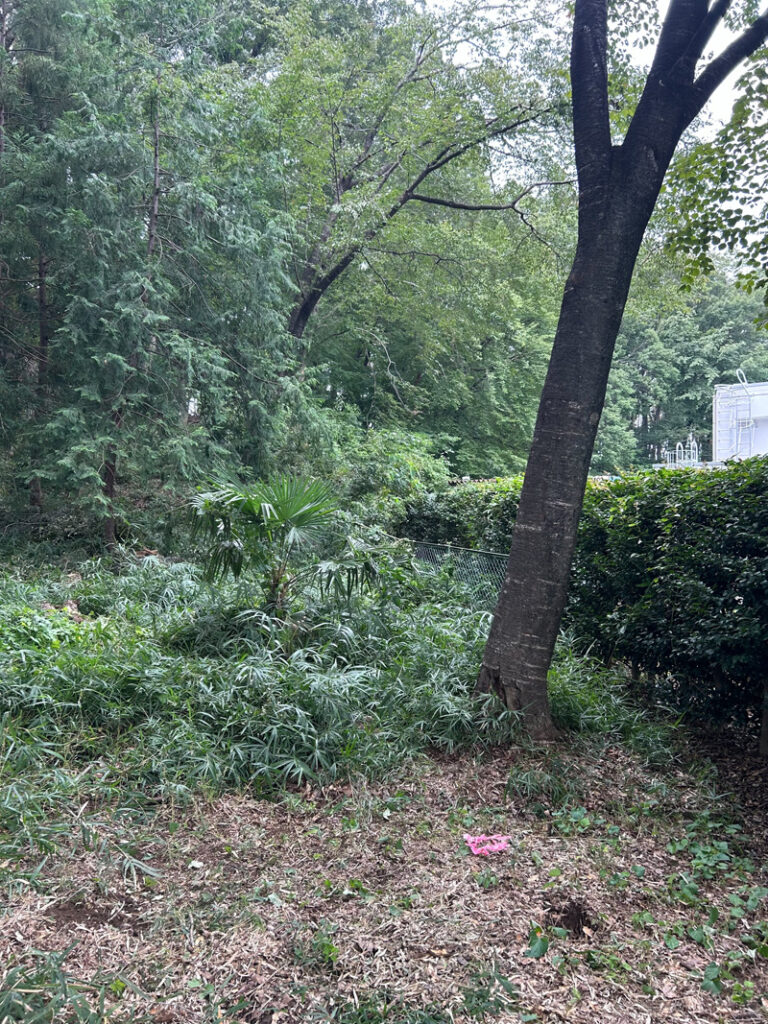 埼玉県児玉郡美里町 こだま聖地 伐採工事 作業中