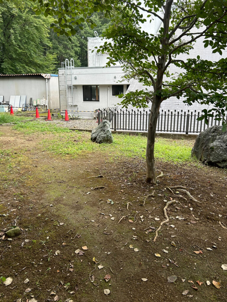 埼玉県児玉郡美里町 こだま聖地 伐採工事 作業中