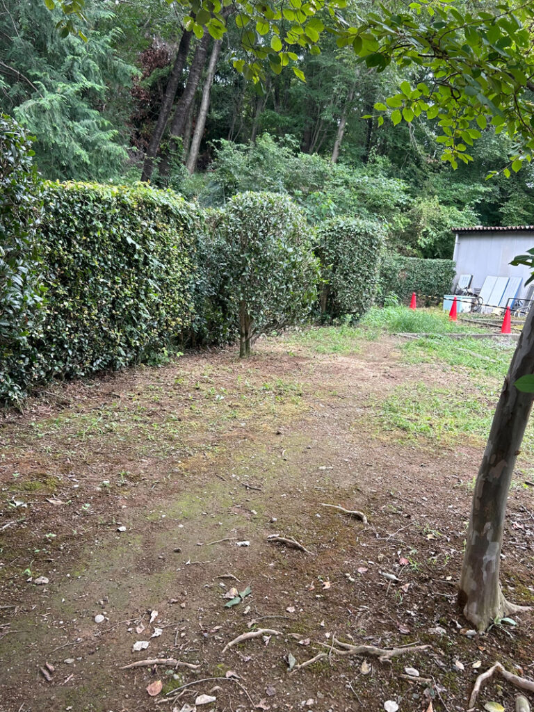 埼玉県児玉郡美里町 こだま聖地 伐採工事 作業中