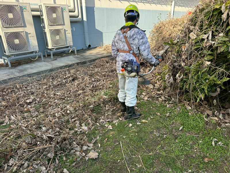 埼玉県行田市 緑道 伐採工事 作業中