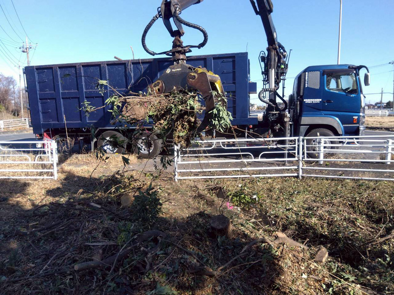 埼玉県行田市 緑道 伐採工事 作業中