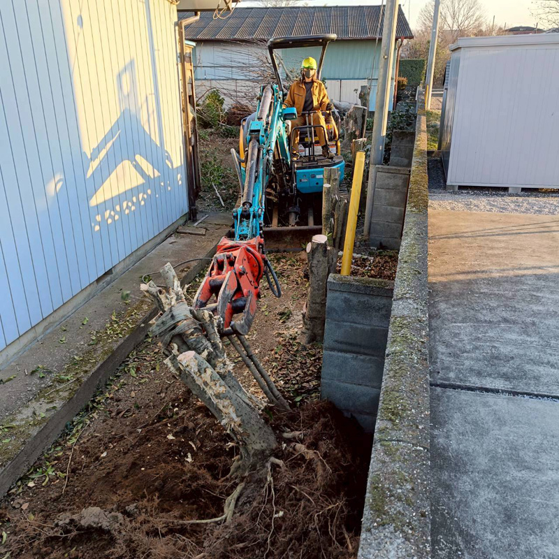 埼玉県深谷市 須藤様宅 伐採工事 作業中