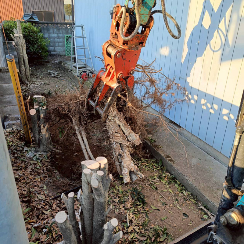 埼玉県深谷市 須藤様宅 伐採工事 作業中