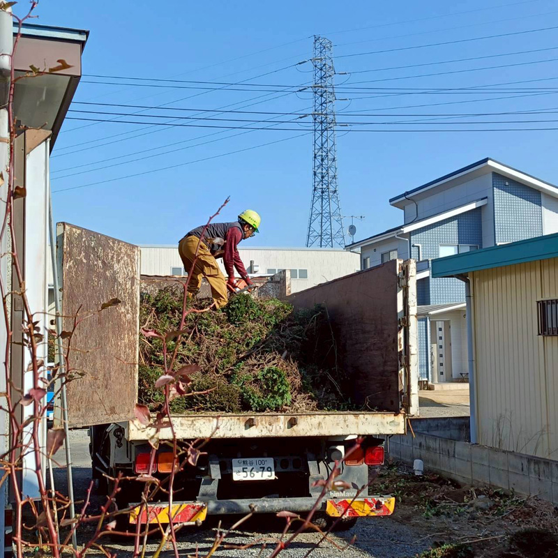 埼玉県深谷市 須藤様宅 伐採工事 作業中
