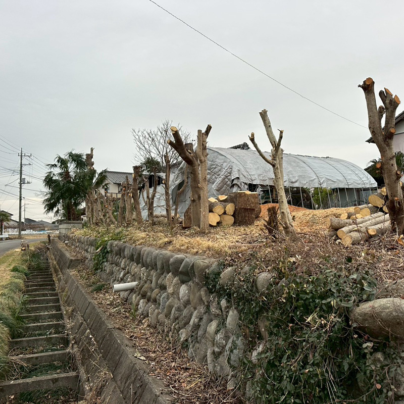埼玉県比企郡吉見町 個人宅 伐採剪定工事 完了