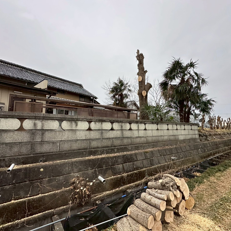 埼玉県比企郡吉見町 個人宅 伐採剪定工事 完了