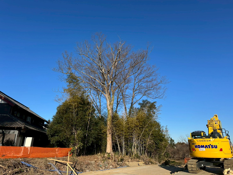 埼玉県比企郡吉見町 伐採除根工事 着工前