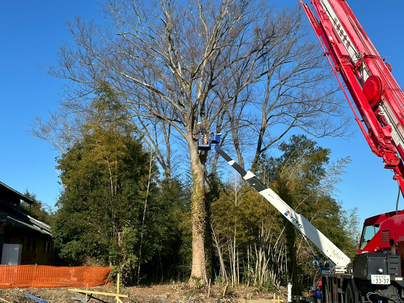 埼玉県比企郡吉見町 伐採除根工事 作業中