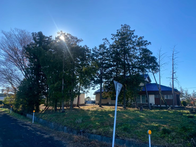 埼玉県比企郡川島町 個人宅 伐採工事 着工前