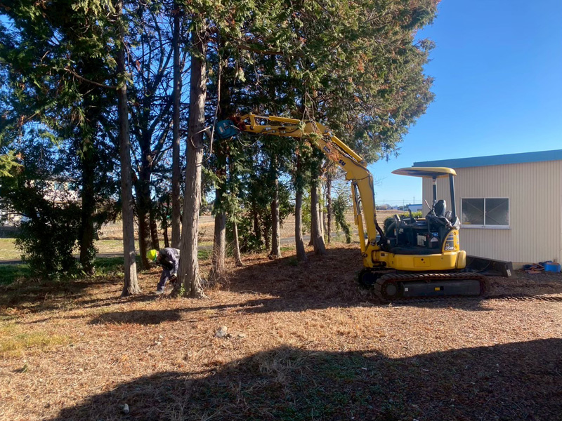 埼玉県比企郡川島町 個人宅 伐採工事 作業中