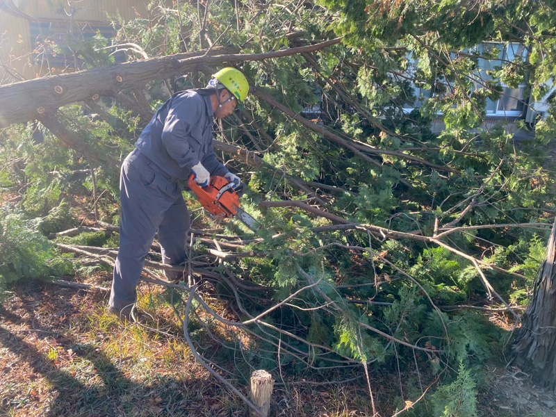 埼玉県比企郡川島町 個人宅 伐採工事 作業中